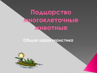 Подцарство многоклеточные животные. Общая характеристика