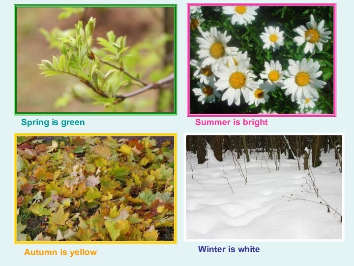 Spring is green Summer is bright Autumn is yellow Winter is white
