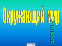 Бюджет доходов и расходов