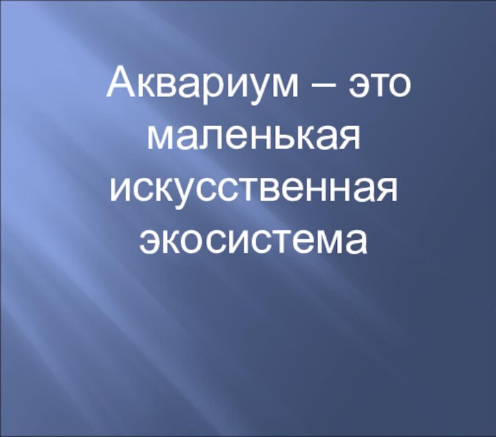 Аквариум – это маленькая искусственная экосистема