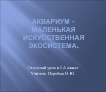 Аквариум – маленькая искусственная экосистема (3 класс)