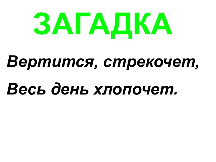 ЗАГАДКАВертится, стрекочет,Весь день хлопочет.