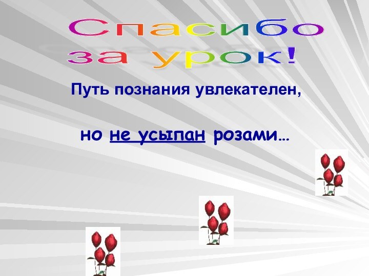 Спасибо  за урок!Путь познания увлекателен,но не усыпан розами…