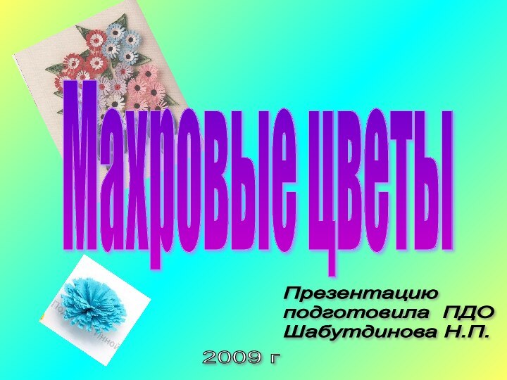 Презентацию  подготовила ПДО  Шабутдинова Н.П.2009 гМахровые цветы