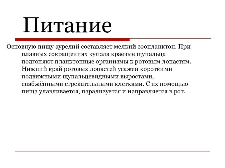 ПитаниеОсновную пищу аурелий составляет мелкий зоопланктон. При плавных сокращениях купола краевые щупальца