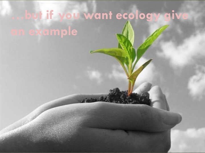…but if you want ecology give an example