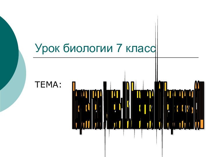 Урок биологии 7 классТЕМА:Покровы тела Учитель: И.В. Литвинова МОУ Петраковская СОШ