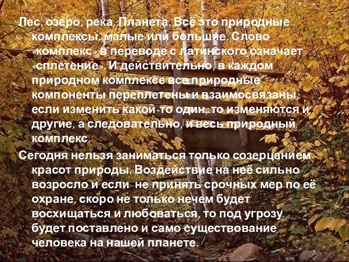 Лес, озеро, река. Планета. Всё это природные комплексы, малые или большие. Слово