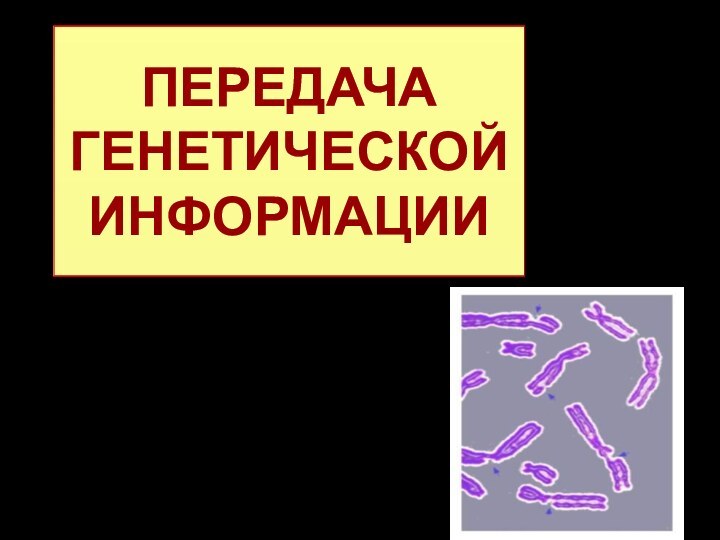 ПЕРЕДАЧА ГЕНЕТИЧЕСКОЙ ИНФОРМАЦИИ