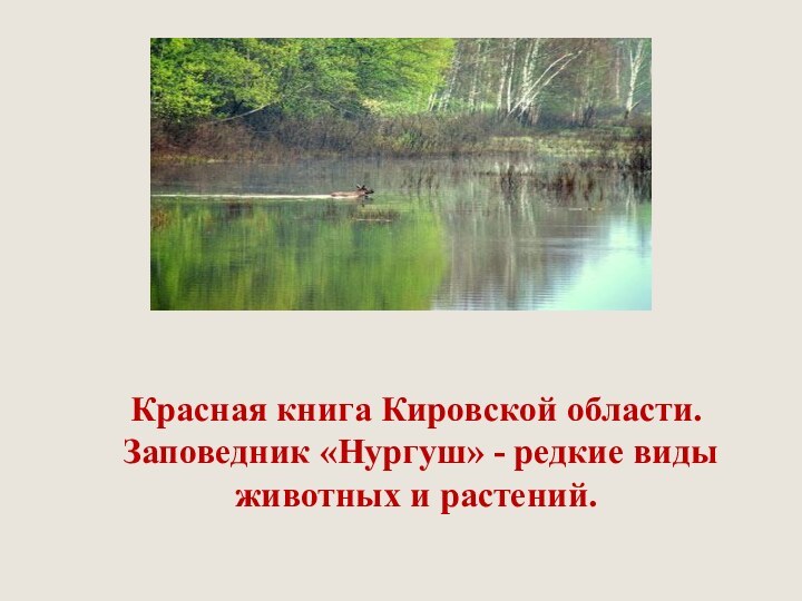 Красная книга Кировской области.   Заповедник «Нургуш» - редкие