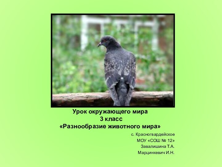 Урок окружающего мира  3 класс  «Разнообразие животного мира»с. Красногвардейское МОУ