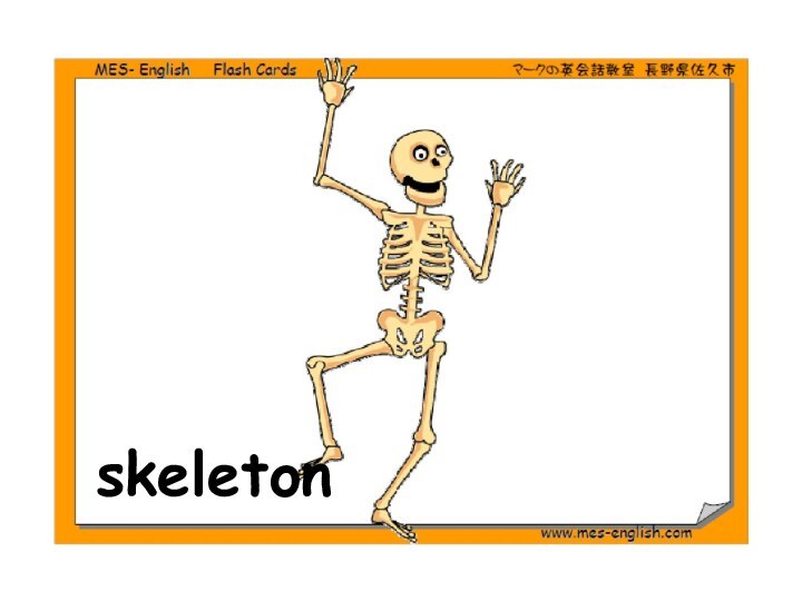 skeleton