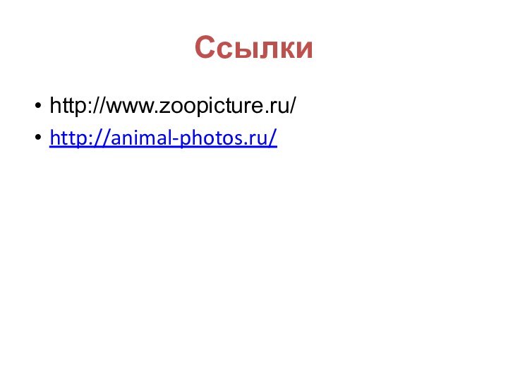 Ссылкиhttp://www.zoopicture.ru/http://animal-photos.ru/