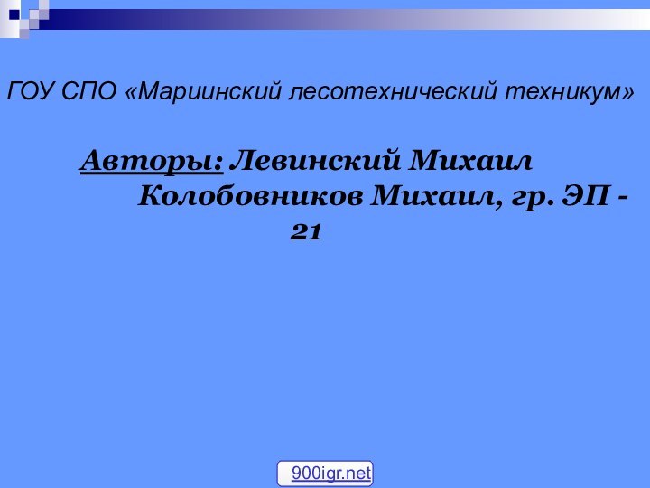 ГОУ СПО «Мариинский лесотехнический техникум» Авторы: Левинский Михаил