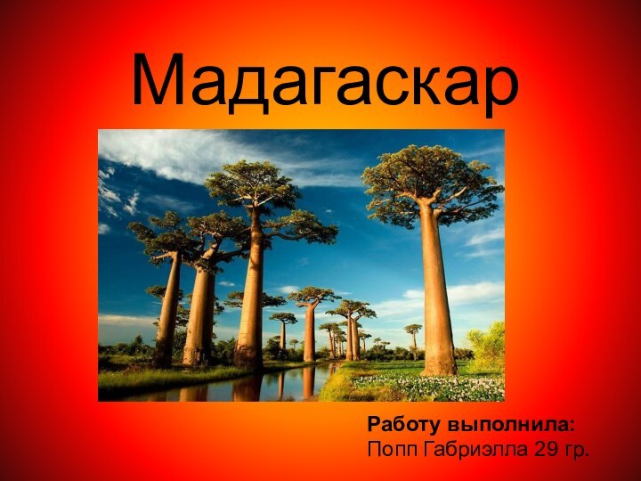 МадагаскарРаботу выполнила: Попп Габриэлла 29 гр.