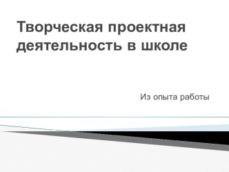 Творческая проектная деятельность в школе