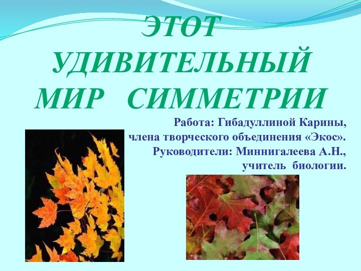 Этот  удивительный Мир  симметрииРабота: Гибадуллиной Карины, члена творческого объединения «Экос».