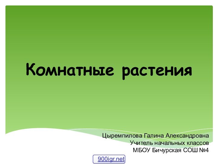 Комнатные растенияЦыремпилова Галина АлександровнаУчитель начальных классовМБОУ Бичурская СОШ №4