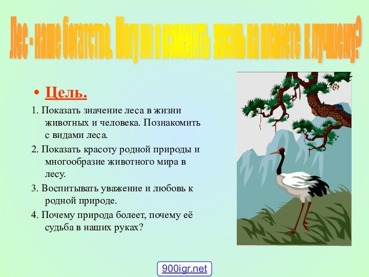 Цель. 1. Показать значение леса в жизни животных и человека. Познакомить с