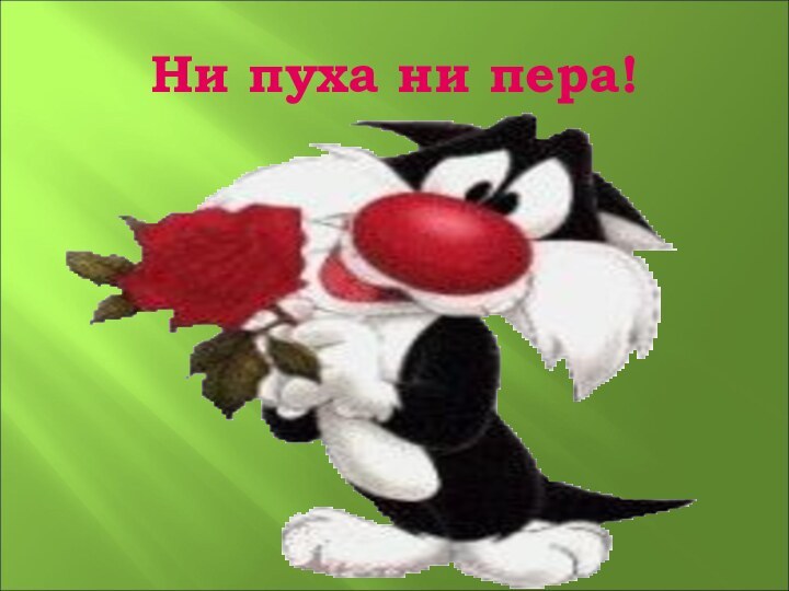 Ни пуха ни пера!