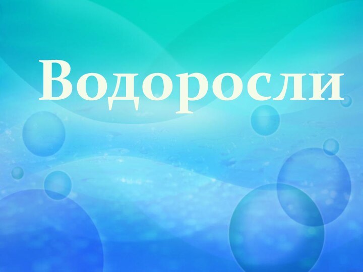 Водоросли