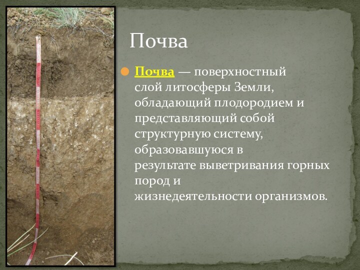 Почва — поверхностный слой литосферы Земли, обладающий плодородием и представляющий собой структурную систему, образовавшуюся в результате выветривания горных пород и жизнедеятельности организмов.Почва