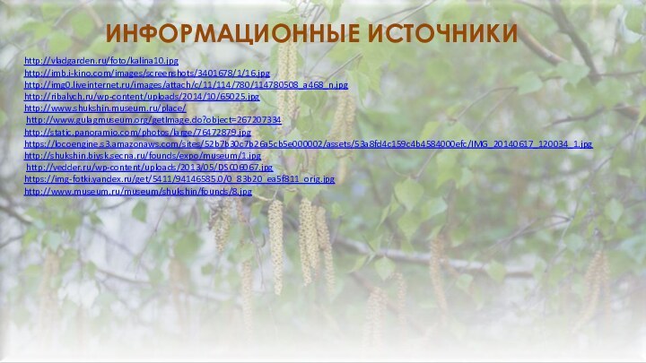 http://vladgarden.ru/foto/kalina10.jpghttp://imb.i-kino.com/images/screenshots/3401678/1/16.jpghttp://img0.liveinternet.ru/images/attach/c/11/114/780/114780508_a468_n.jpghttp://ribalych.ru/wp-content/uploads/2014/10/65025.jpghttp://www.shukshin.museum.ru/place/ http://www.gulagmuseum.org/getImage.do?object=267207334http://static.panoramio.com/photos/large/76472879.jpghttps://locoengine.s3.amazonaws.com/sites/52b7b30c7b26a5cb5e000002/assets/53a8fd4c159c4b4584000efc/IMG_20140617_120034_1.jpghttp://shukshin.biysk.secna.ru/founds/expo/museum/1.jpg http://vedder.ru/wp-content/uploads/2013/05/DSC06067.jpghttps://img-fotki.yandex.ru/get/5411/94146585.0/0_83b20_ea5f811_orig.jpg http://www.museum.ru/museum/shukshin/founds/8.jpgИнформационные источники