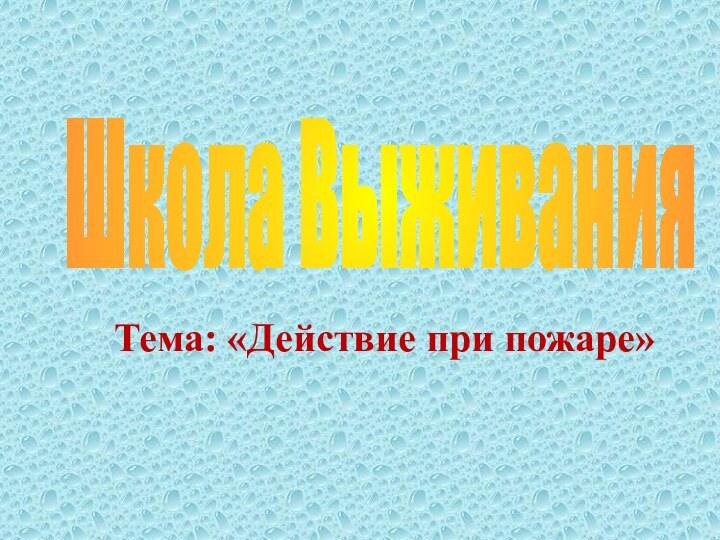 Тема: «Действие при пожаре»Школа Выживания