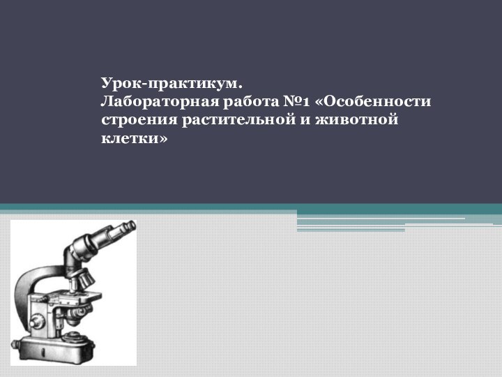 Урок-практикум. Лабораторная работа №1 «Особенности строения растительной и животной клетки»