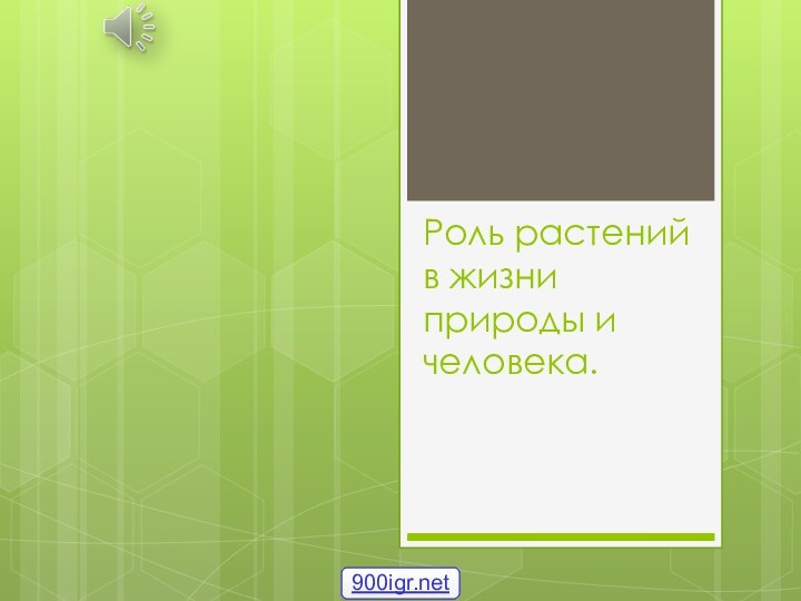 Роль растений в жизни природы и человека.