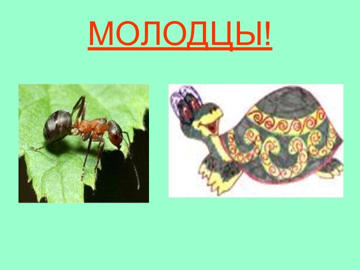 МОЛОДЦЫ!