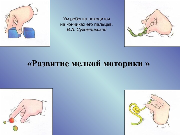 «Развитие мелкой моторики »Ум ребенка находитсяна кончиках его пальцев.В.А. Сухомлинский