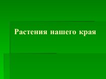 Виды травянистых растений