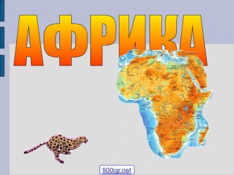Растительный и животный мир Африки