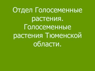 Отдел Голосеменные растения. Голосеменные растения Тюменской области