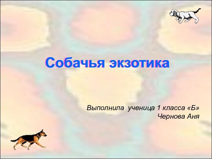 Собачья экзотикаСобачья экзотикаВыполнила ученица 1 класса «Б» Чернова Аня