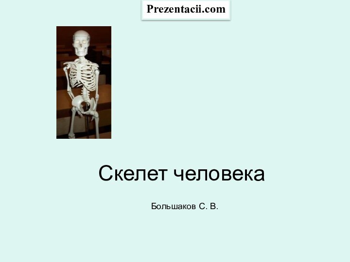 Скелет человекаБольшаков С. В.Prezentacii.com