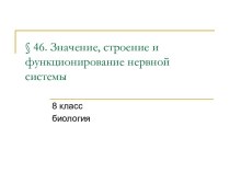 Значение, строение и функционирование нервной системы 8 класс