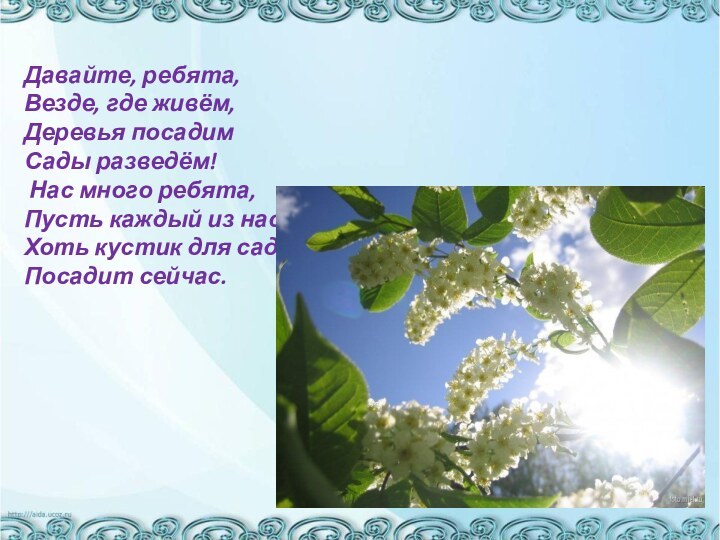 Давайте, ребята, Везде, где живём, Деревья посадим Сады разведём! Нас много ребята,