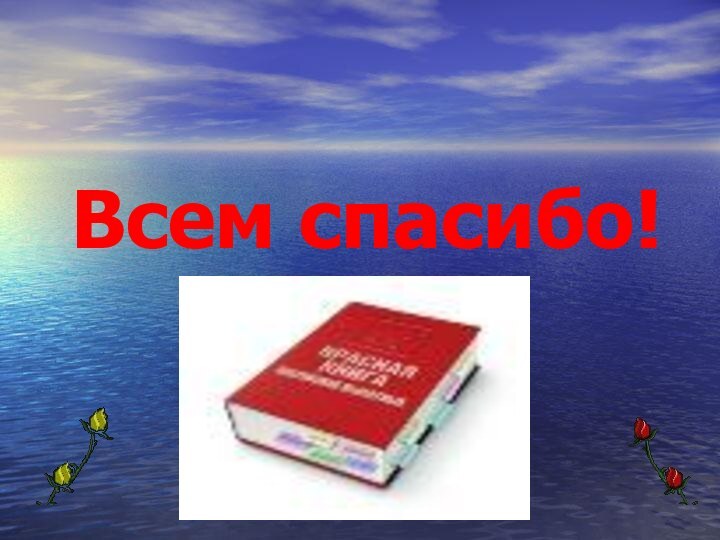 Всем спасибо!