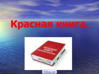 Виды Красной книги