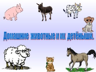 Домашние животные и их детёныши