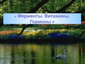 Ферменты. Витамины. Гормоны