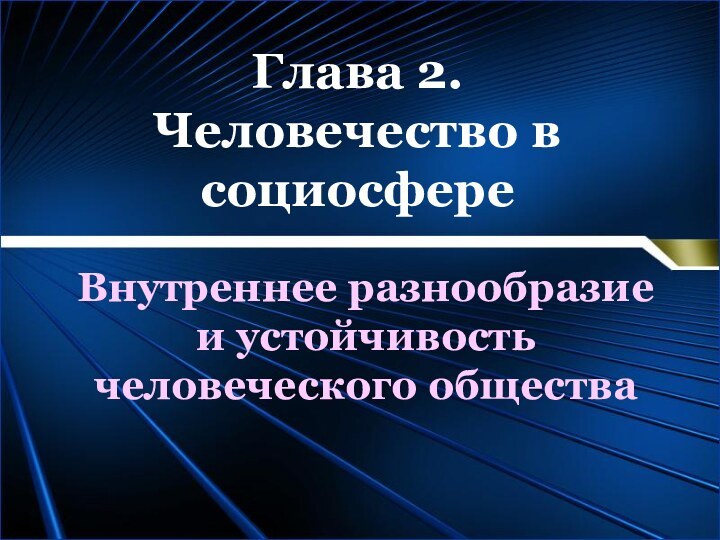 Глава 2. Человечество в социосфереВнутреннее разнообразие и устойчивость человеческого общества