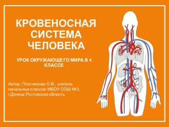 Презентация Кровеносная система человека