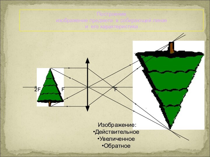 F2FFИзображение:ДействительноеУвеличенноеОбратноеПостроениеизображение предмета в собирающей линзе и его характеристика