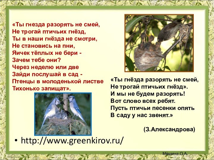 http://www.greenkirov.ru/ «Ты гнезда разорять не смей,  Не трогай птичьих гнёзд, Ты