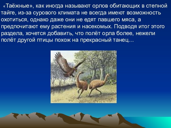   «Таёжные», как иногда называют орлов обитающих в степной тайге, из-за сурового климата