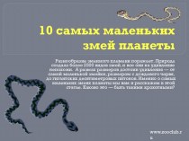 10-самых-маленких-змеи-планеты