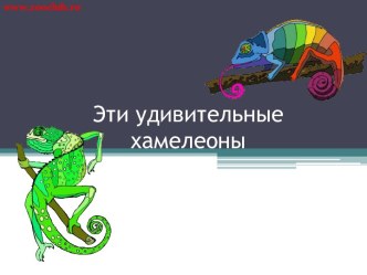 Удивительные хамелеоны